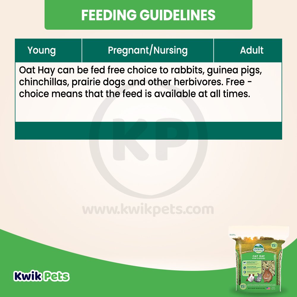 Oxbow Animal Health Oat Hay Small Animal Treat, 15-oz, Oxbow