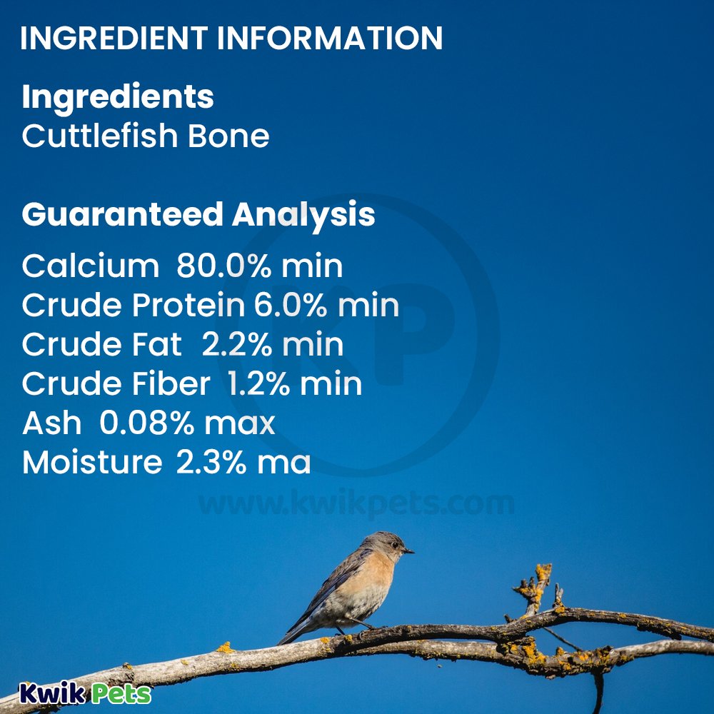 A & E Cage Captain Cuttlebone Flavored Bird Treat 6-in 2 Count, Kwik Pets