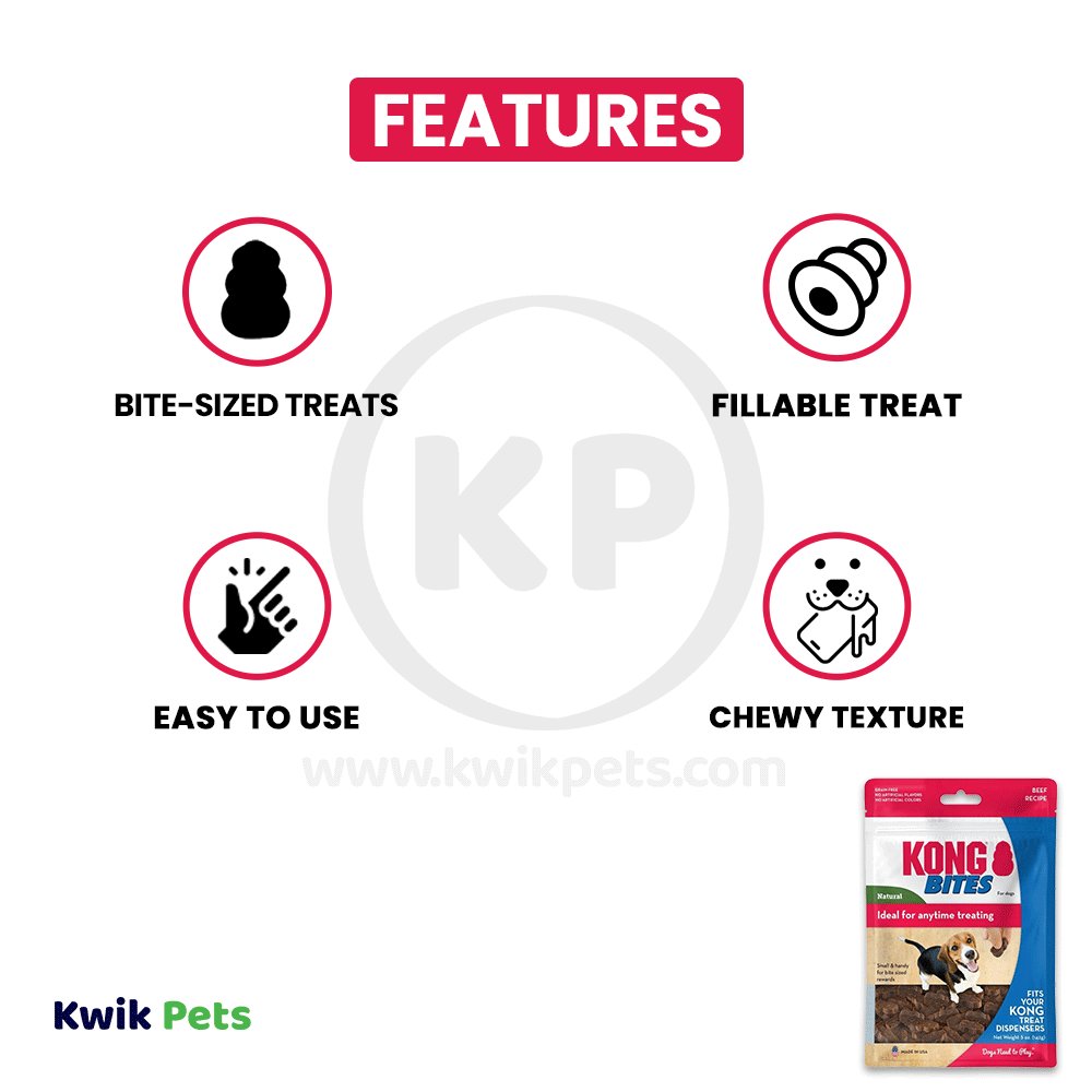 KONG Bites Dog Treats Regular, Beef, 5-oz, KONG