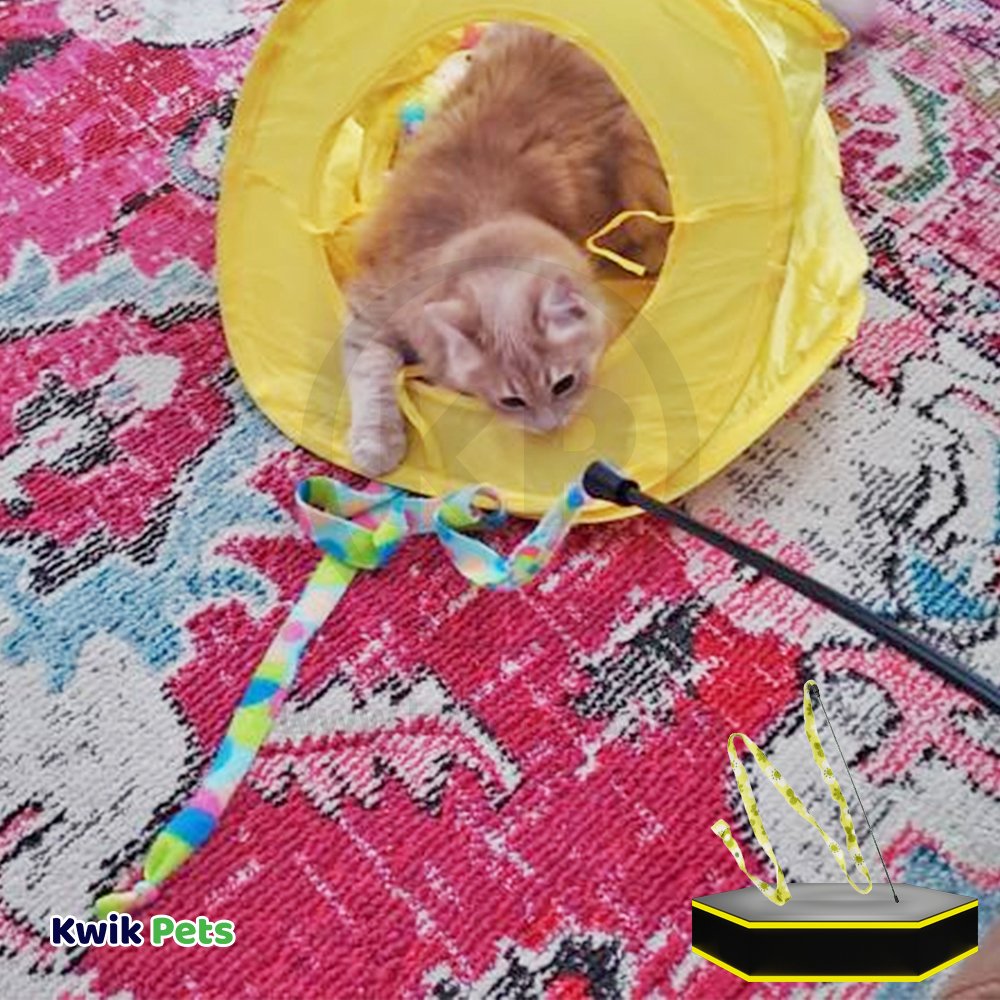Cat playing with Ethical Pet Spot Cat Prancer Fleece Frenzy Wand Cat Toy Assorted One Size