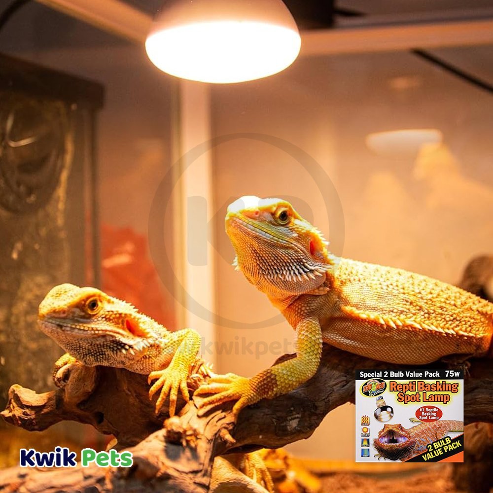 Zoo Med Repti Basking Spot Lamp 75W 2 Count, Kwik Pets