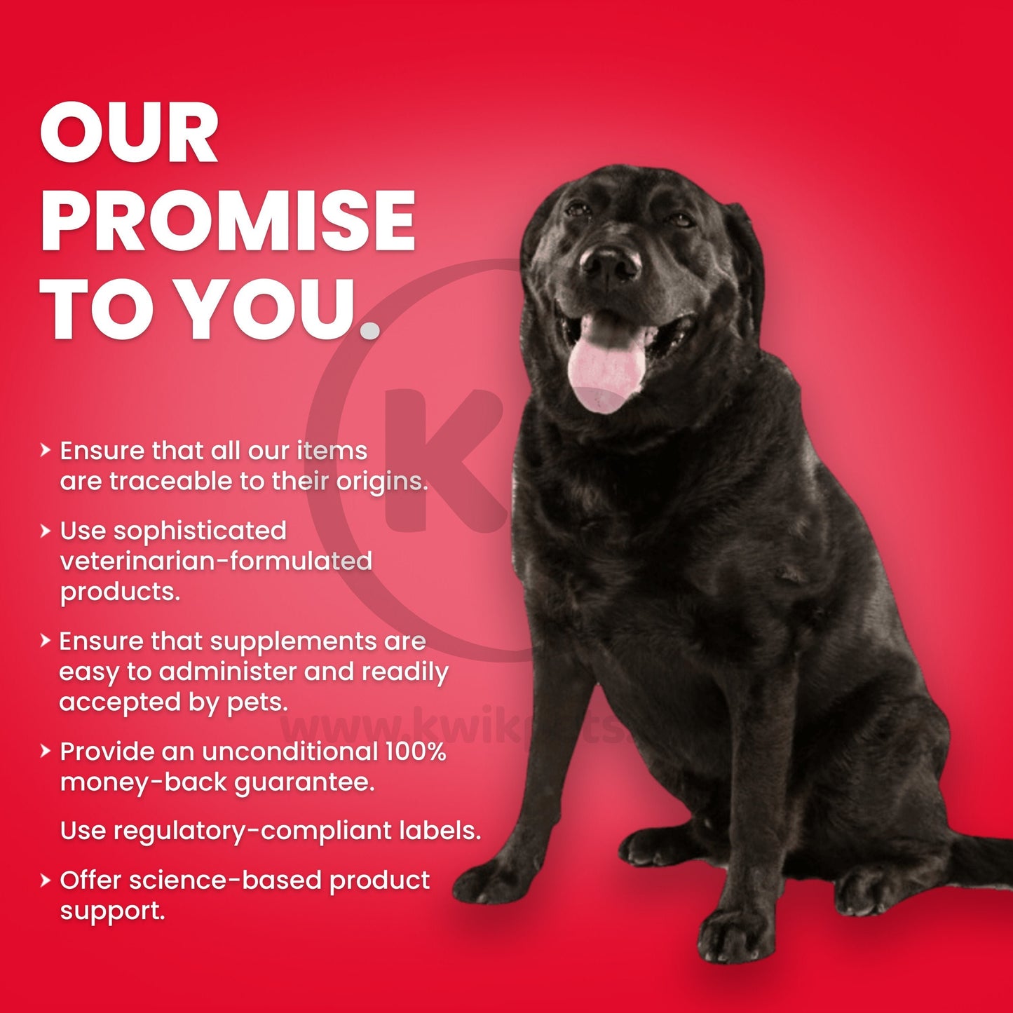Features of Nutri-Vet Hip & Joint Extra Strength Chewables for Dogs Liver 75 Count
