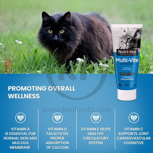 Nutri-Vet Multi-Vite Salmon Paw-Gel for Cats, 3 oz, Nutri-Vet