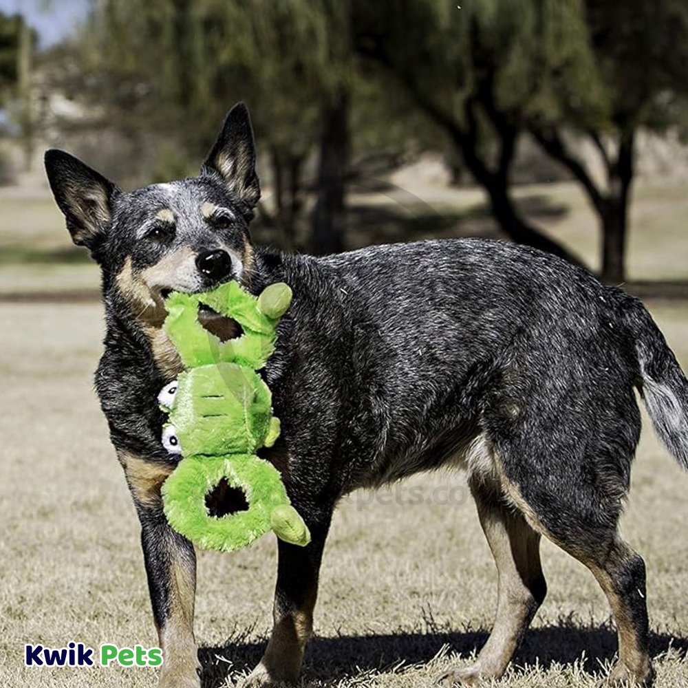 Jolly Pet Tug-a-Mals Frog Dog Toy Green Small 3-in, Kwik Pets