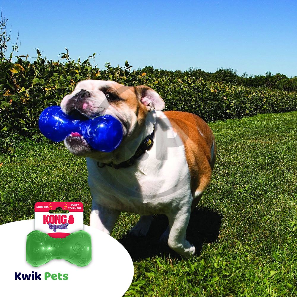 KONG Squeezz Dumbbell Dog Toy Assorted Small, Kwik Pets