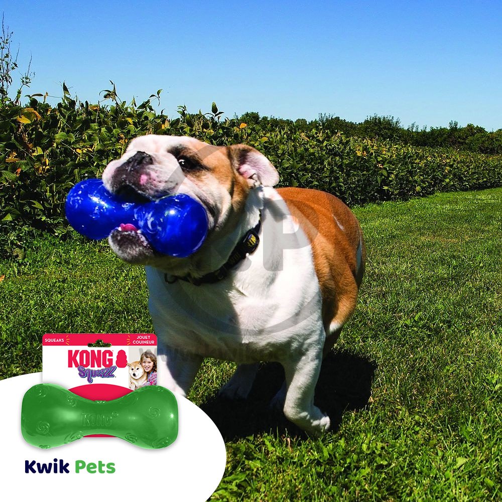 KONG Squeezz Dumbbell Dog Toy Assorted Large, Kwik Pets