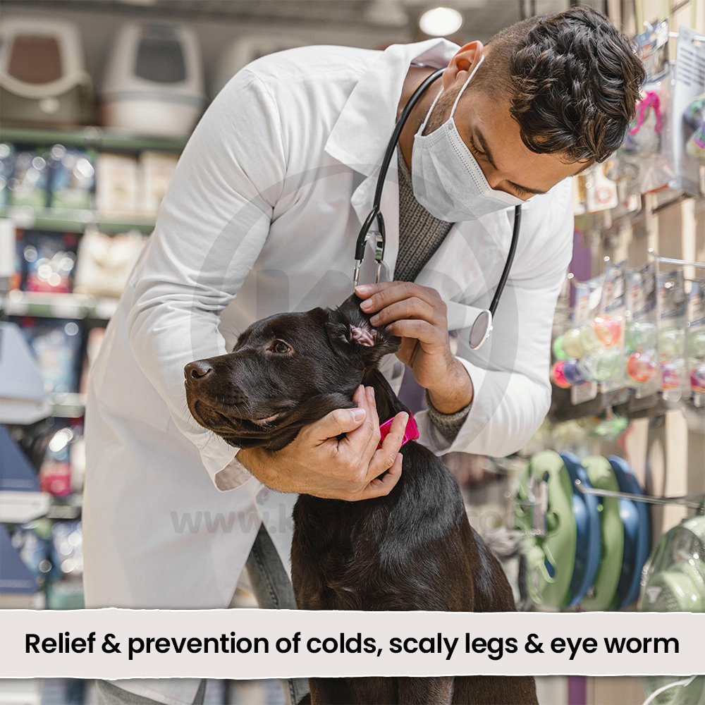 LifeStyle of VetRx Dog & Puppy Aid 2-oz