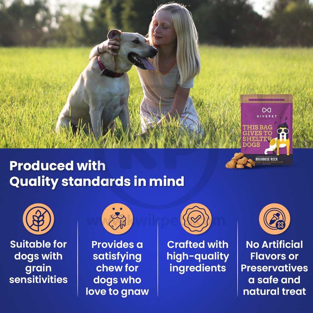 Givepet Dog House Rock Grain-Free Premium Dog Treats Bacon Peanut Butter & Banana 11-oz, Kwik Pets