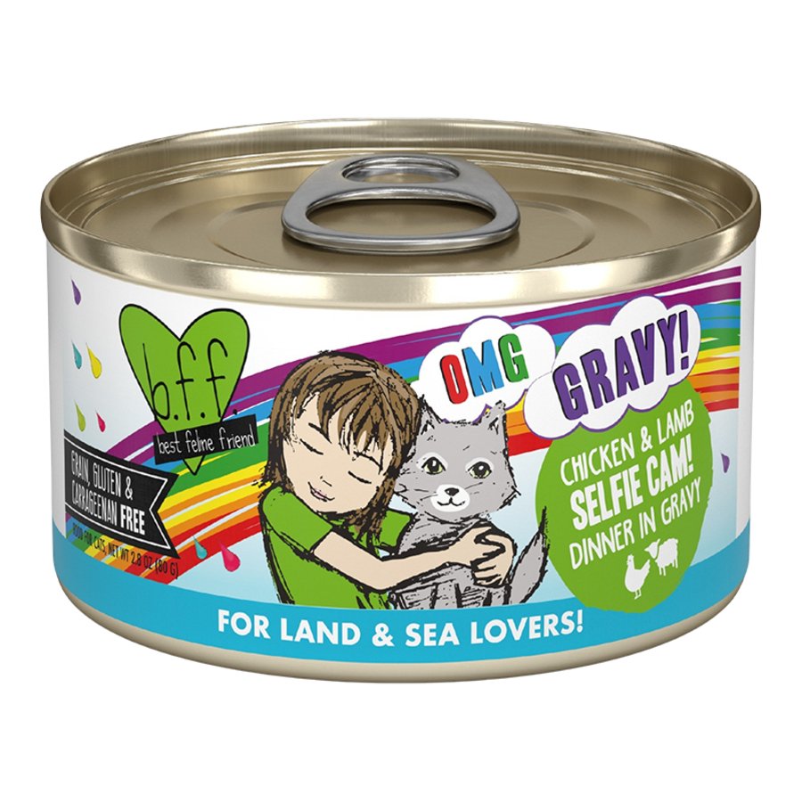 Weruva B.F.F. OMG Chicken & Lamb Selfie Cam! Dinner in Gravy Wet Cat Food 2.8-oz, Kwik Pets