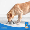 IAMS Healthy Weight Adult Dry Dog Food Chicken, 7-lb, IAMS