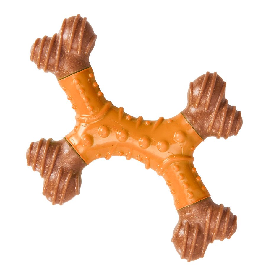 Spot Bam-Bone Dental Dog Chew Toy 6-in