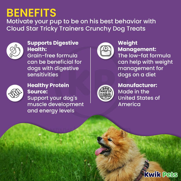 Cloud Star Tricky Trainers Crunchy Training Dog Treats Cheddar 8-oz, Kwik Pets