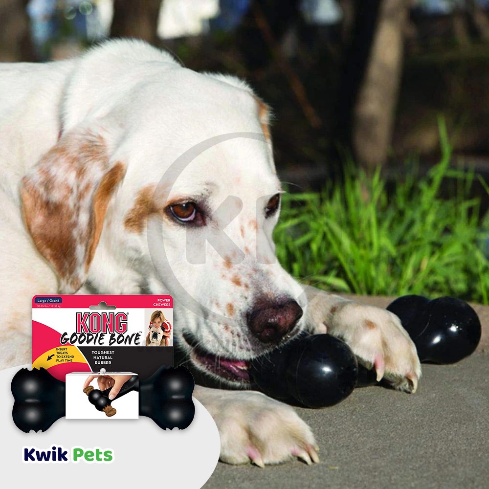 KONG Extreme Goodie Bone Large, Kong