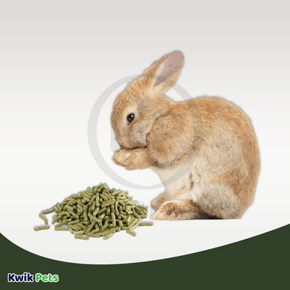 Volkman Seed Small Animal Rabbit Pellets, 4-lb, Volkman
