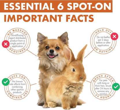 Dermoscent Essential 6 Spot-on Dog Skin Care for Dandruff & Allergy Relief Dogs & Small Mammals Up to 22-lb 4 Pipettes