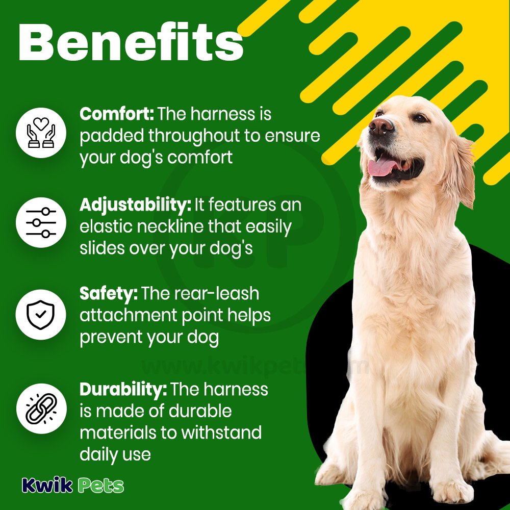 Benefits of EasySport Comfortable Dog Harness Black XS
