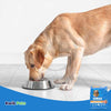 IAMS Healthy Weight Adult Dry Dog Food Real Chicken, 29.1-lb, IAMS