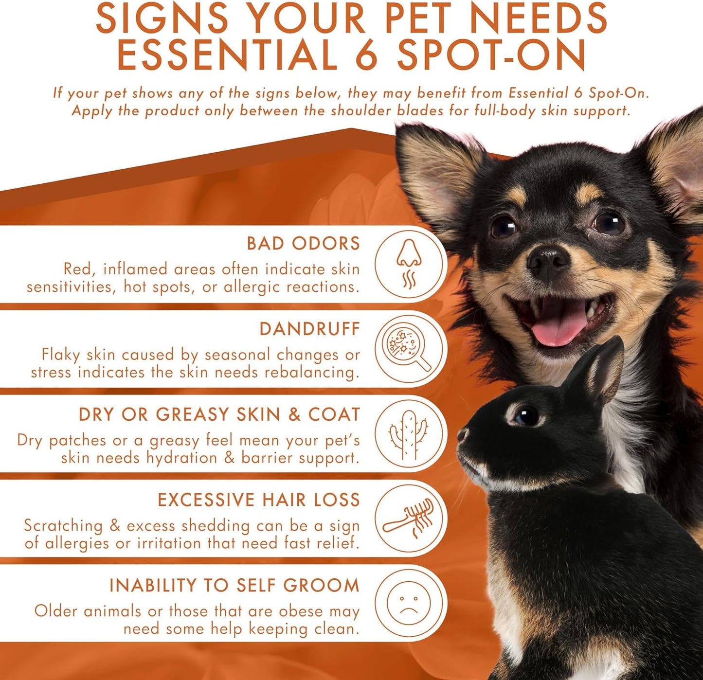 Dermoscent Essential 6 Spot-on Dog Skin Care for Dandruff & Allergy Relief Dogs & Small Mammals Up to 22-lb 4 Pipettes