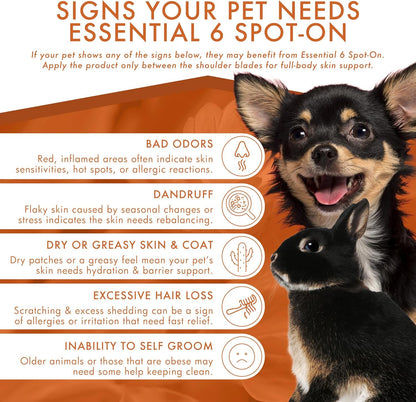 Dermoscent Essential 6 Spot-on Dog Skin Care for Dandruff & Allergy Relief Dogs & Small Mammals Up to 22-lb 4 Pipettes