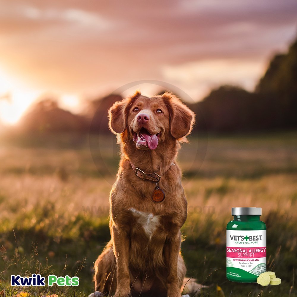 Buy Vet's Best Seasonal Allergy Support Chewbale