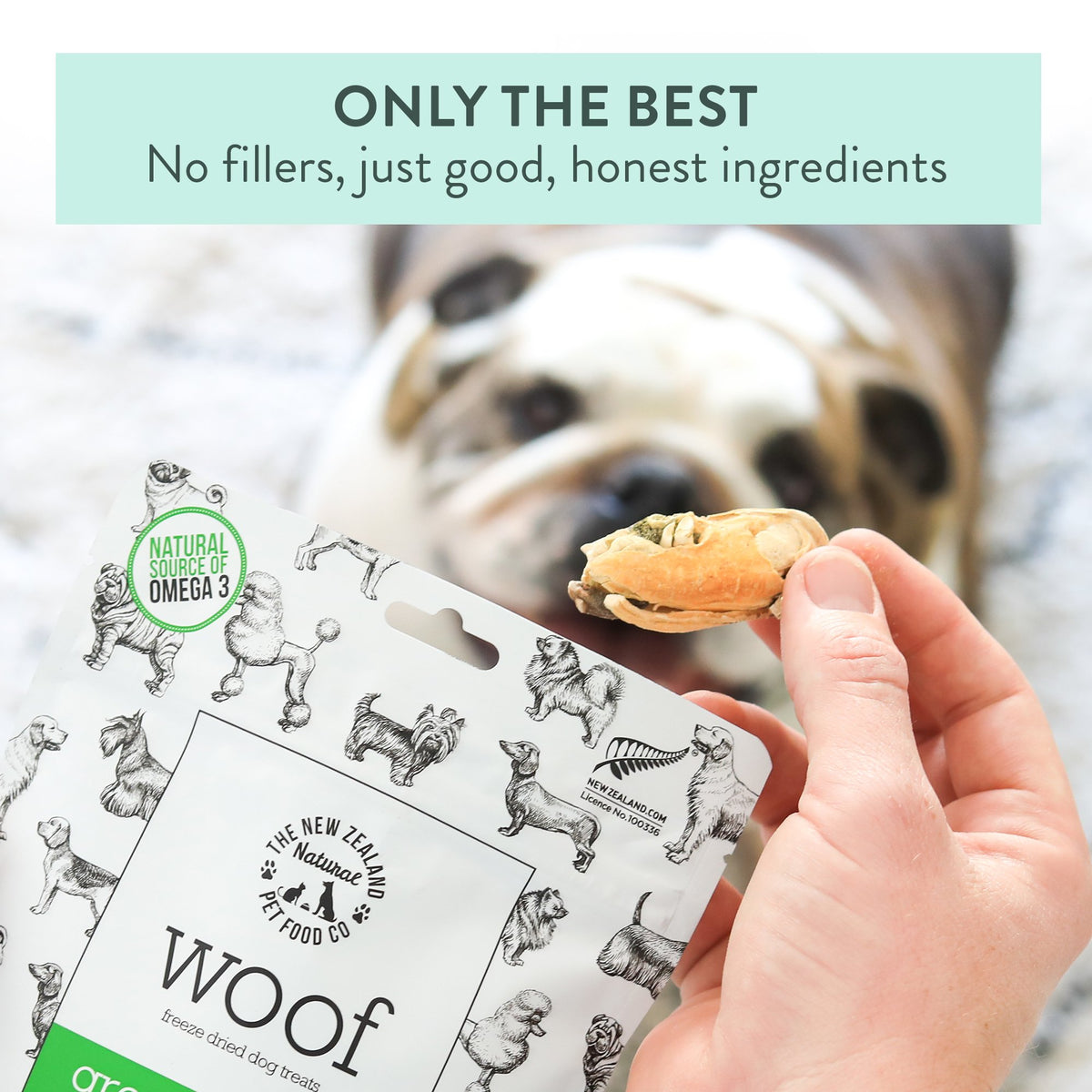 The New Zealand Natural Pet Food Co. Woof Freeze Dried Dog Treat NZ Green Mussels 1.76-oz