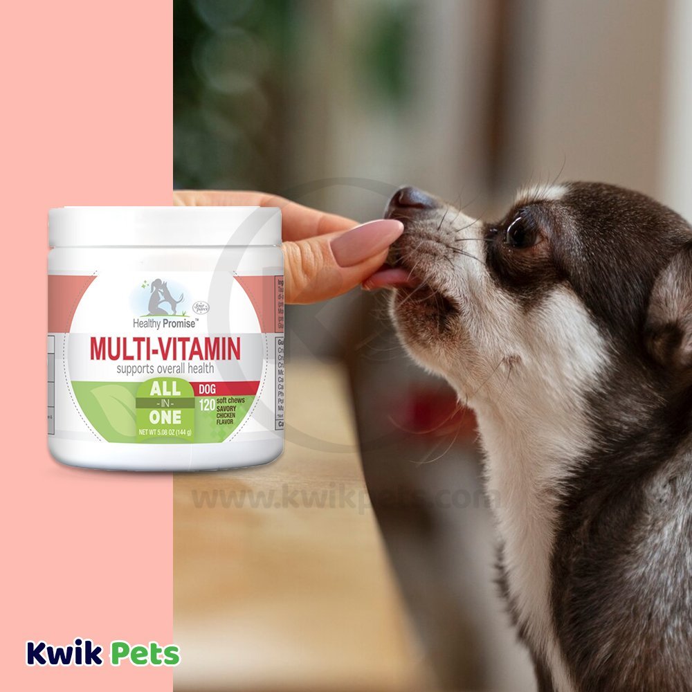 Four Paws Healthy Promise Dog Multi-Vitamins Soft Chews Savory Chicken for Dogs