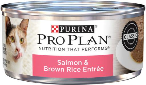 Purina Pro Plan Complete Essentials Salmon & Brown Rice Entrée in Gravy Adult Wet Cat Food 5.5-oz, Kwik Pets
