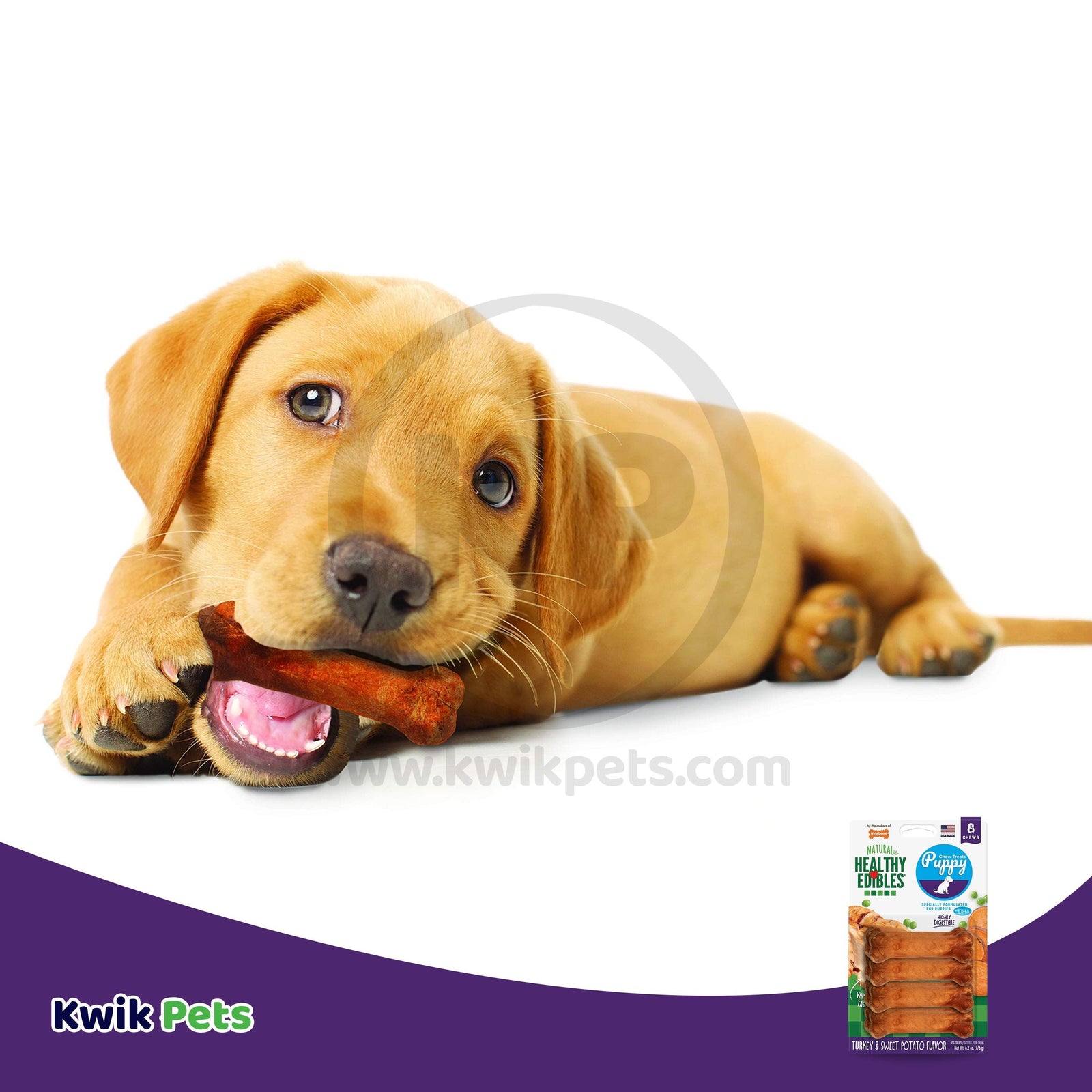 Nylabone Healthy Edibles Puppy Chew Treats Turkey & Sweet Potato XS/Petite