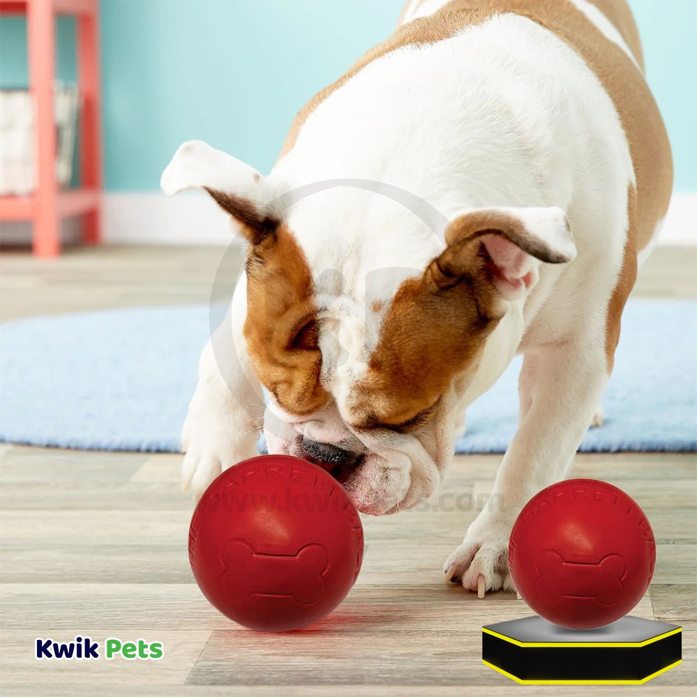 Ethical Barrett Ball Dog Toy 2.5in, Ethical