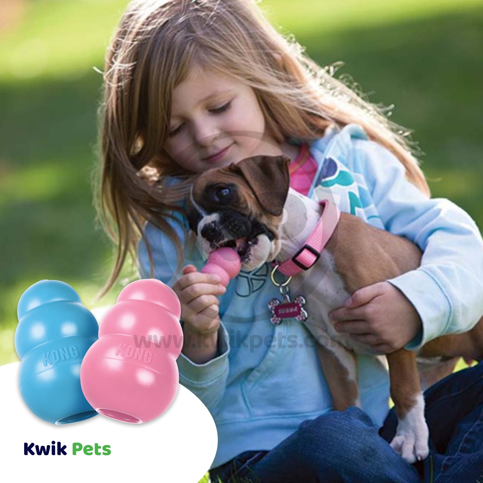 KONG Puppy Toy Assorted Medium, Kwik Pets