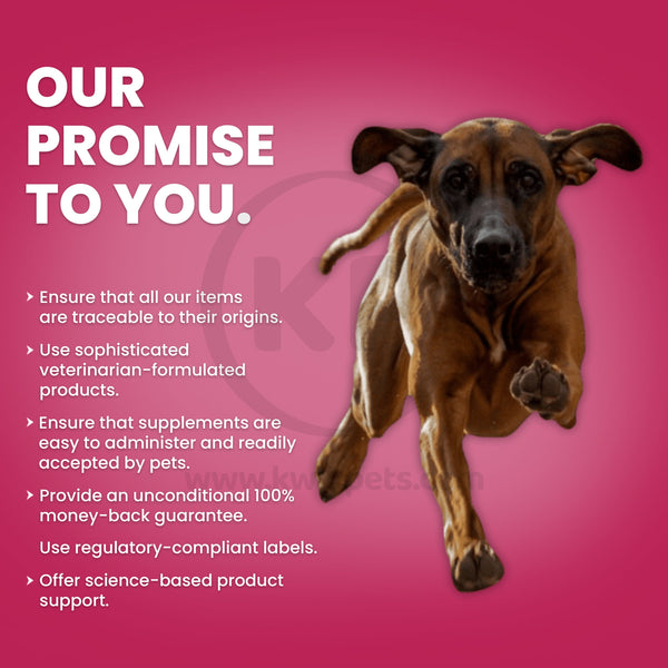 Nutri-Vet 2 inches Assorted Bitter Bandage, Nutri-Vet