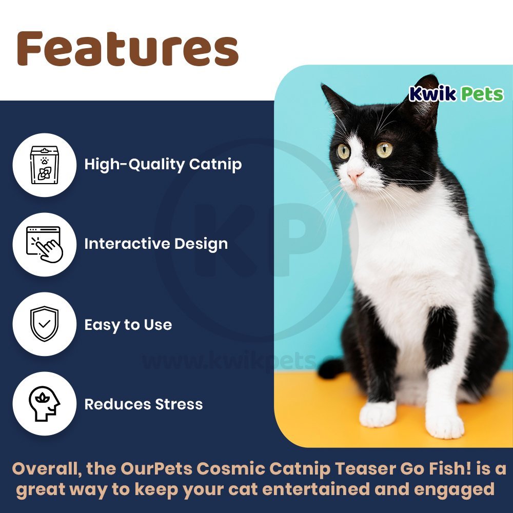 Features of OurPets Cosmic Catnip Teaser Go Fish! Cat Toy