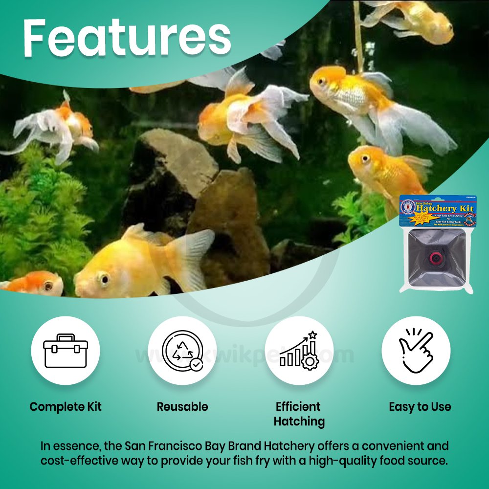 San Francisco Bay Brand Brine Shrimp Hatchery Kit Features