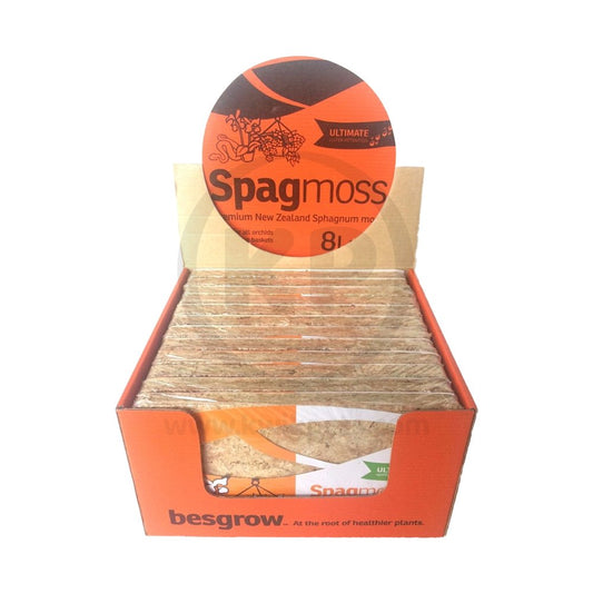 12 Count Display Box New Zealand Sphagnum Moss 100 Grams Long Fiber 8 L Spagmoss, New Zealand