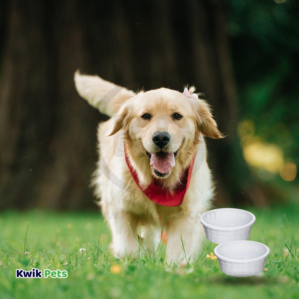 Van Ness Plastics Heavyweight Crock Dish Grey 106-oz Jumbo 2 Pack, Kwik Pets