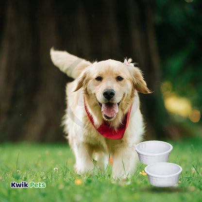 Van Ness Plastics Heavyweight Crock Dish Grey 106-oz Jumbo 2 Pack, Kwik Pets