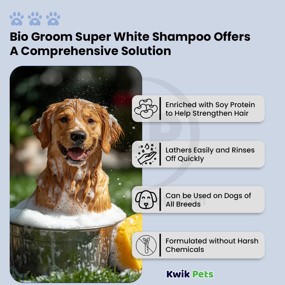 Bio-Groom Super White Shampoo 1 gal, Kwik Pets
