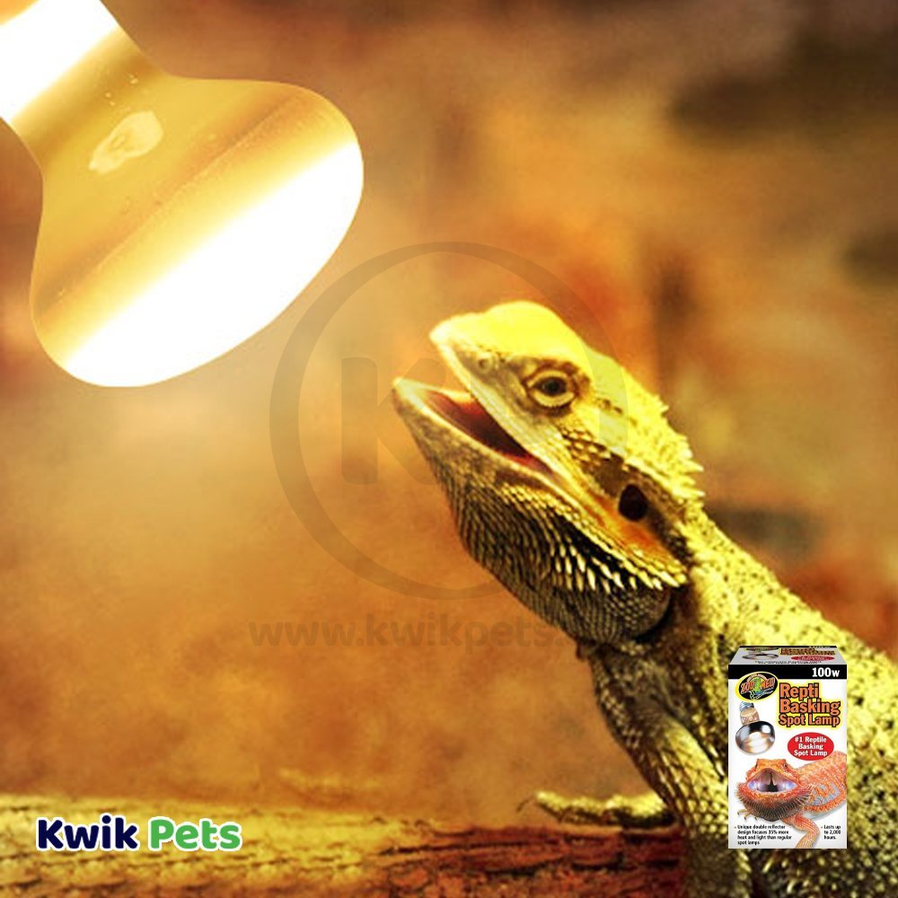 Zoo Med Repti Basking Spot Lamp 100W 2 Count, Kwik Pets