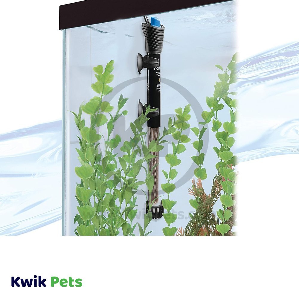 Aqueon Submersible Aquarium Heater 150 W Price Online