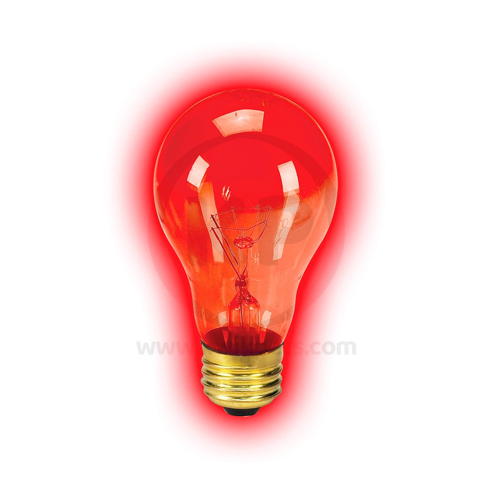 Zilla Incandescent Bulbs Night Red, 50 W, Zilla