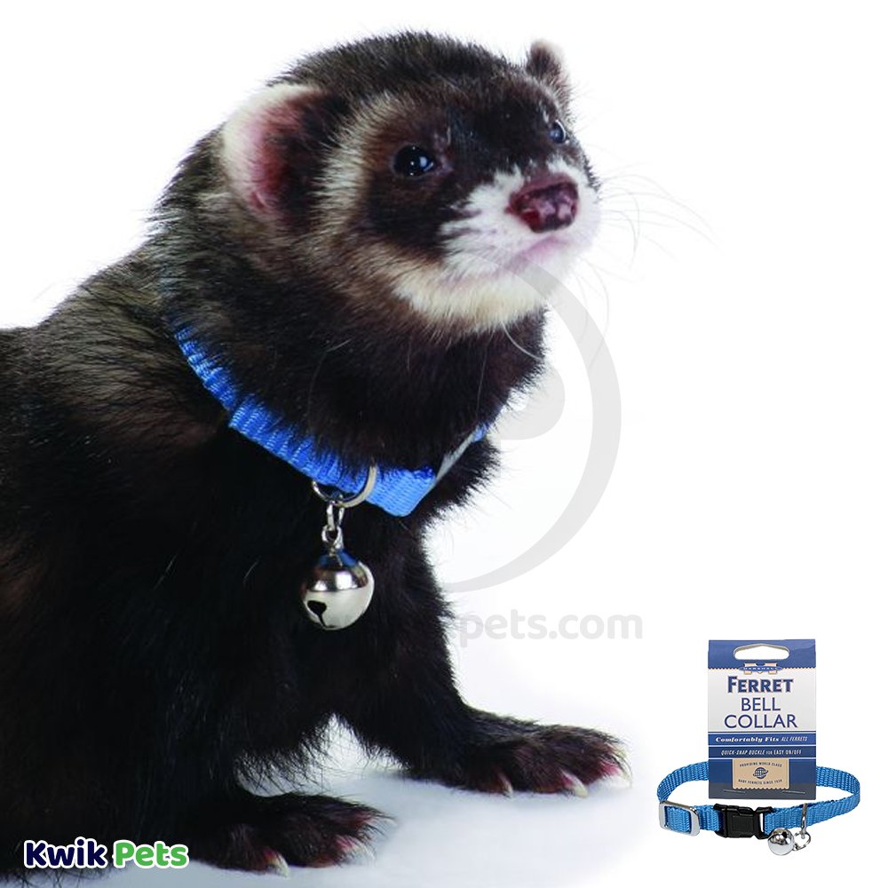 Marshall Pet Products Ferret Bell Collar Blue 3/8-in, Kwik Pets
