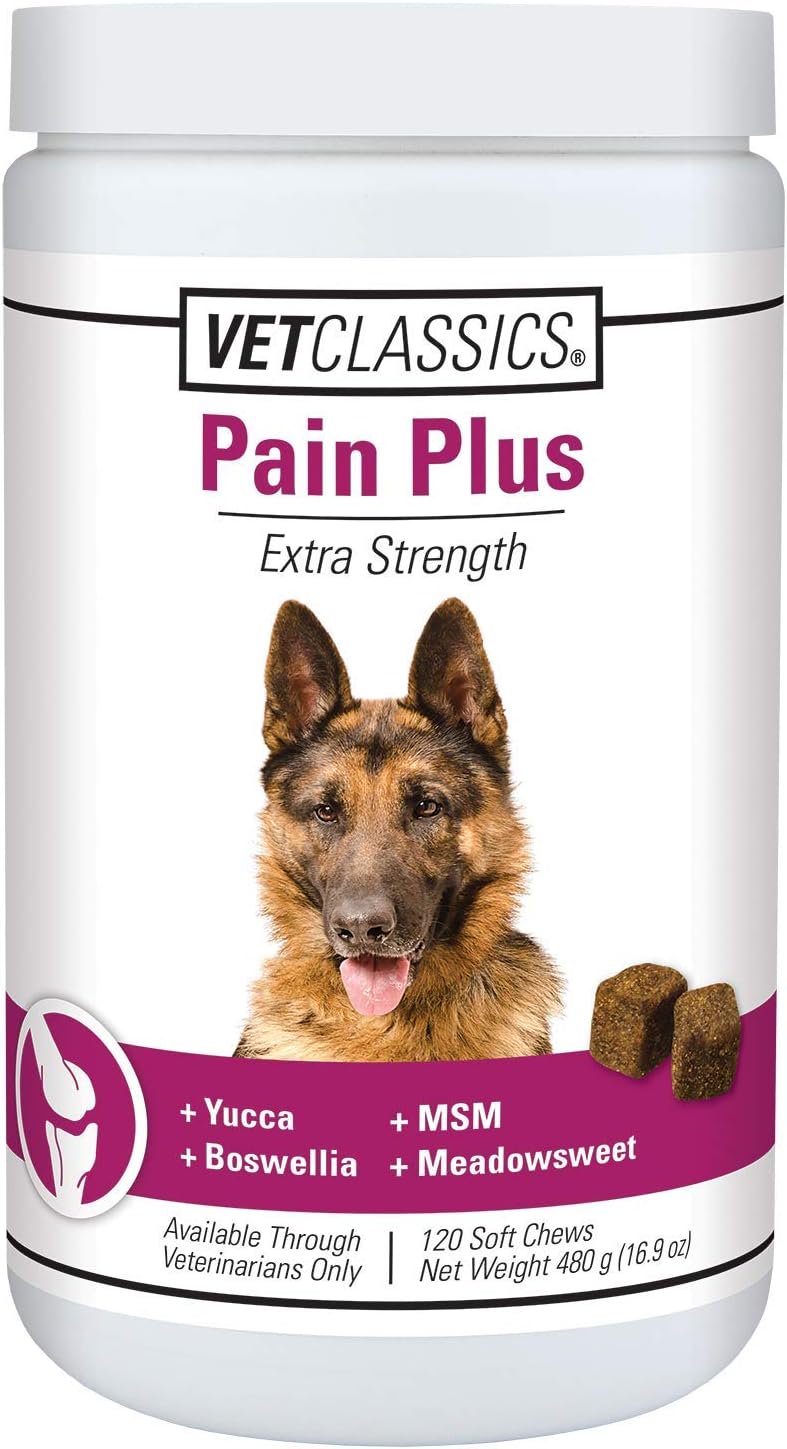 VetClassics Pain Plus Extra Strength Soft Chews Dog Supplement 120 Count