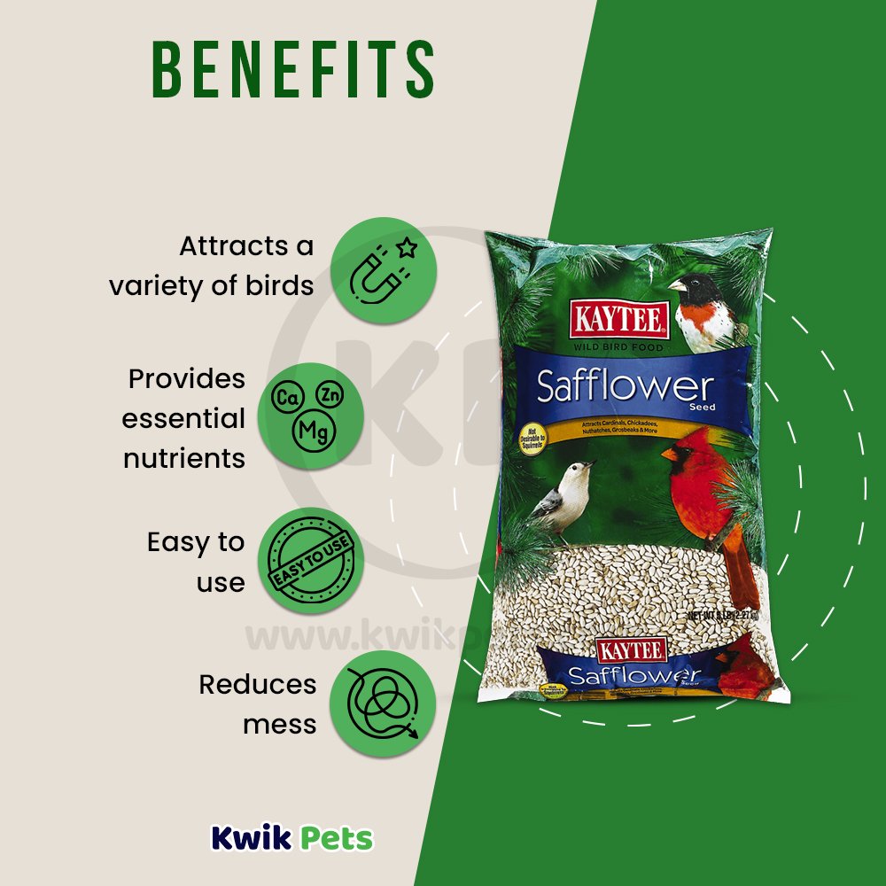 Kaytee Safflower Seed Wild Bird Food 5-lb, Kaytee