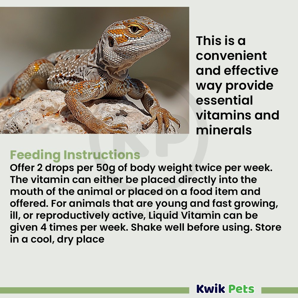 Fluker's Liquid Vitamin Supplement for Reptiles 1.7-oz, Kwik Pets