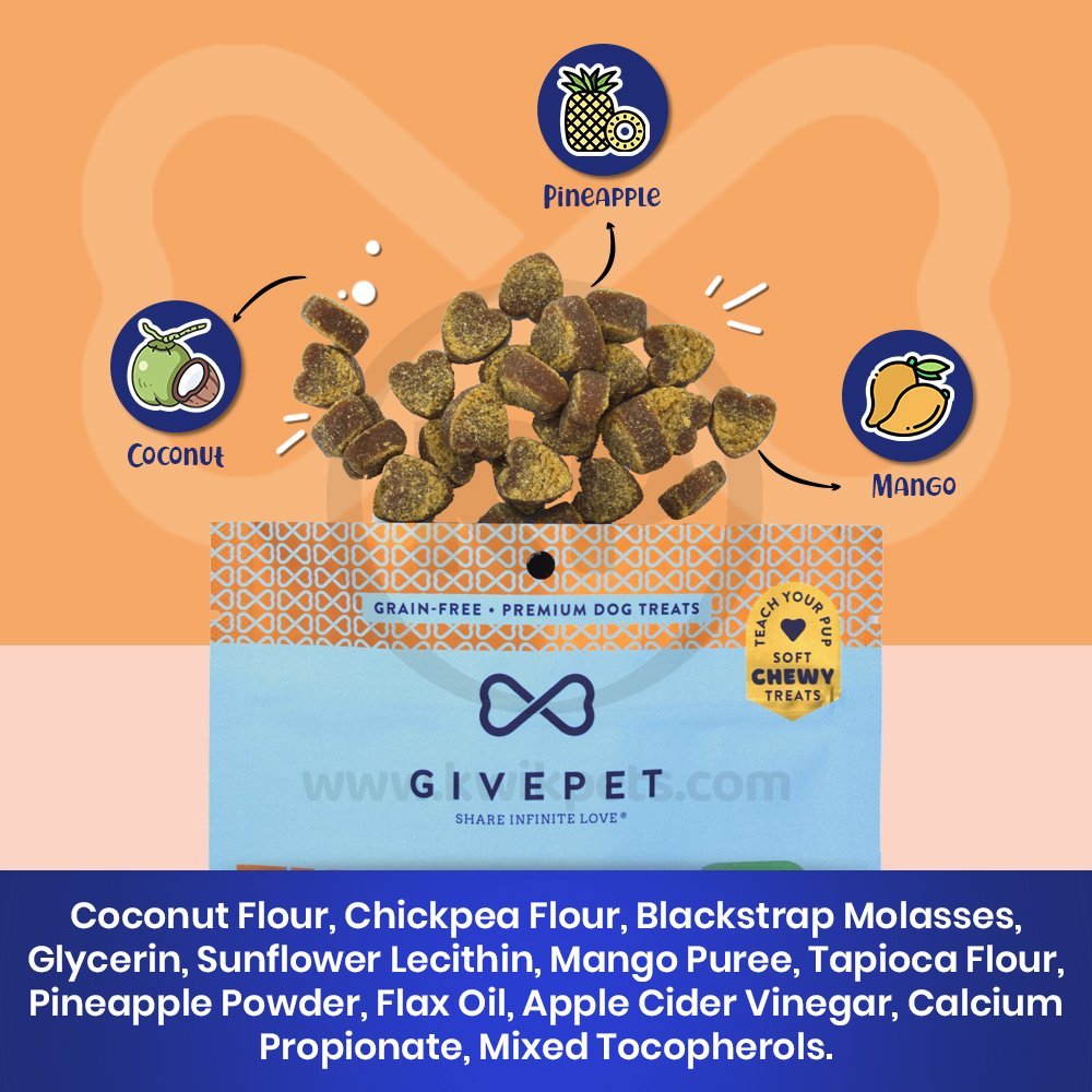 Dertail - Givepet Doggy Paddle Grain-Free Premium Soft Chewy Dog Treats Coconut, Mango & Pineapple 6-oz