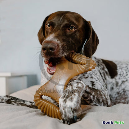 Benebone Dental Chew Dog Toy Bacon Medium, Kwik Pets