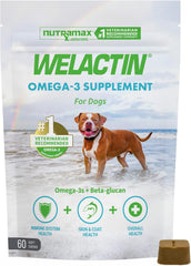 Nutramax Welactin Omega-3 Soft Chews Overall Health Supplement for Dogs 60 Count