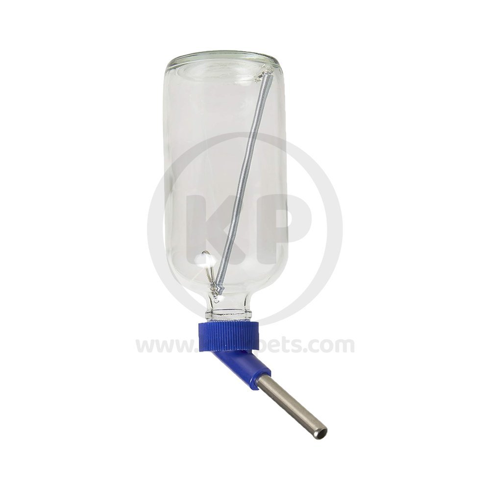 Lixit Economy Glass Water Bottle for Birds & Small Animals Clear Blue