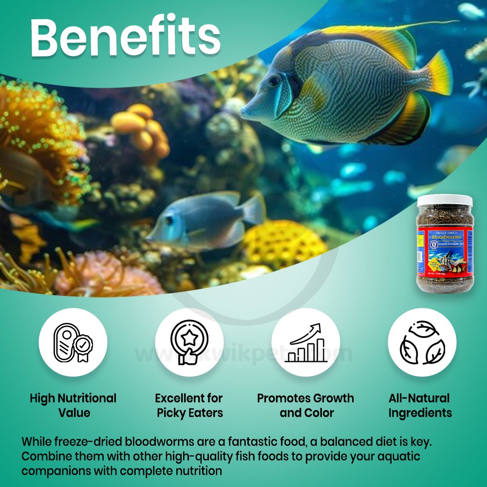 Benefits of San Francisco Bay Brand Bloodworms Freeze-Dried Food
