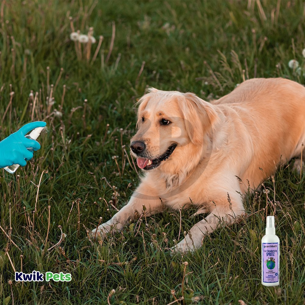 Dog with Earthbath 3-in-1 Deodorizing Spritz for Dogs Lavender 8-oz